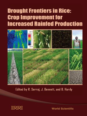 cover image of Drought Frontiers In Rice